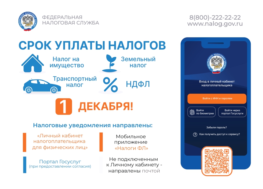 1 декабря - срок уплаты налогов